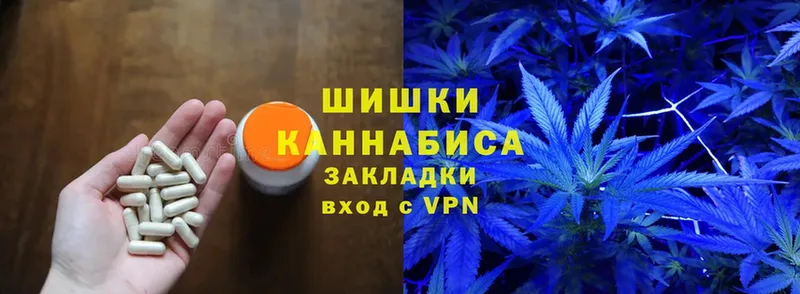 Бошки марихуана SATIVA & INDICA  МЕГА ONION  Киров  купить наркотик 